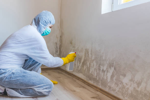 Mold inspector in Harrisburg performing thermal imaging