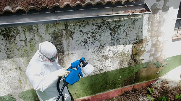 Mold Remediation service in Harrisburg, Harrisburg, NC